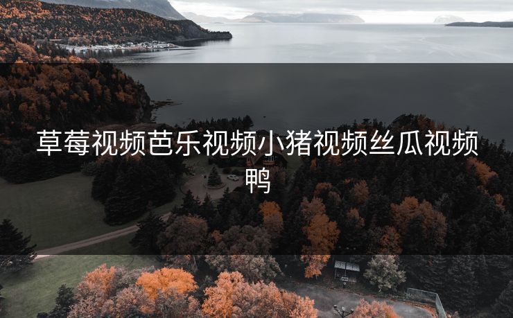 草莓视频芭乐视频小猪视频丝瓜视频鸭
