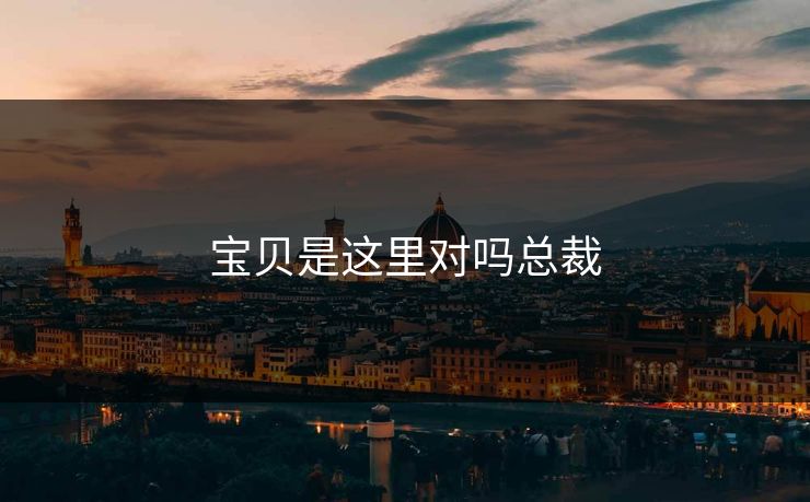 宝贝是这里对吗总裁 宝贝是这里对吗总裁