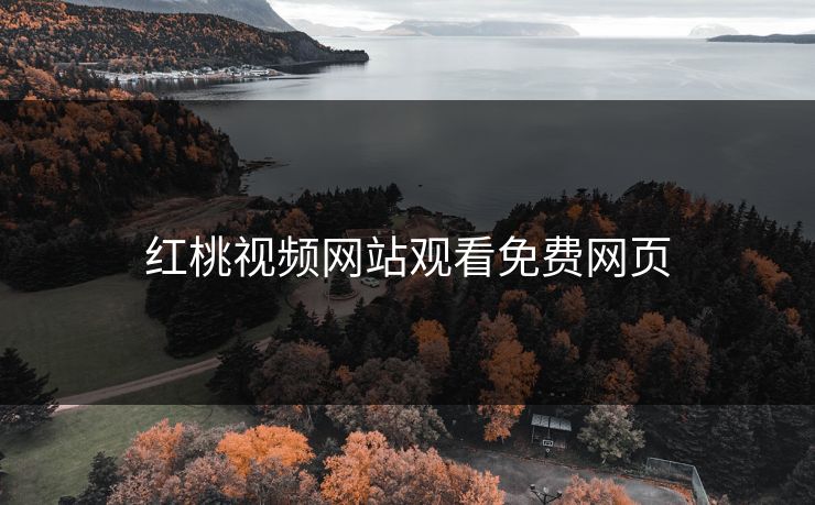 红桃视频网站观看免费网页