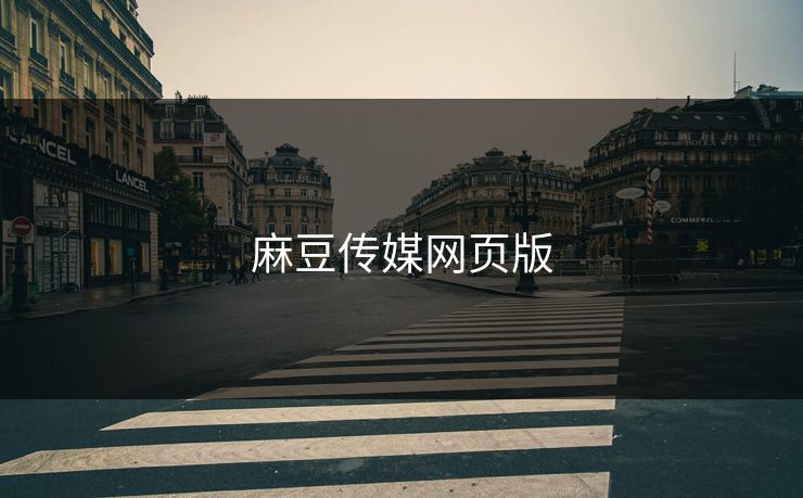 麻豆传媒网页版
