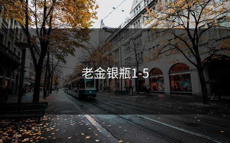 老金银瓶1-5