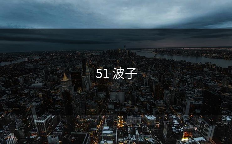 51 波子